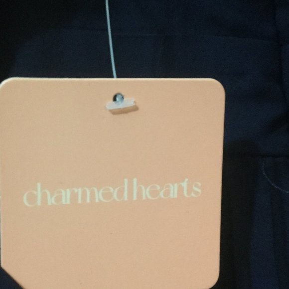 NWT Charmed Hearts pleated dark blue maxi dress zip back with waist tie size L - Picture 4 of 7